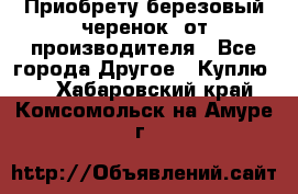 Приобрету березовый черенок  от производителя - Все города Другое » Куплю   . Хабаровский край,Комсомольск-на-Амуре г.